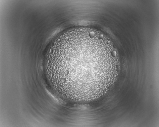 X0000081600683200701291402