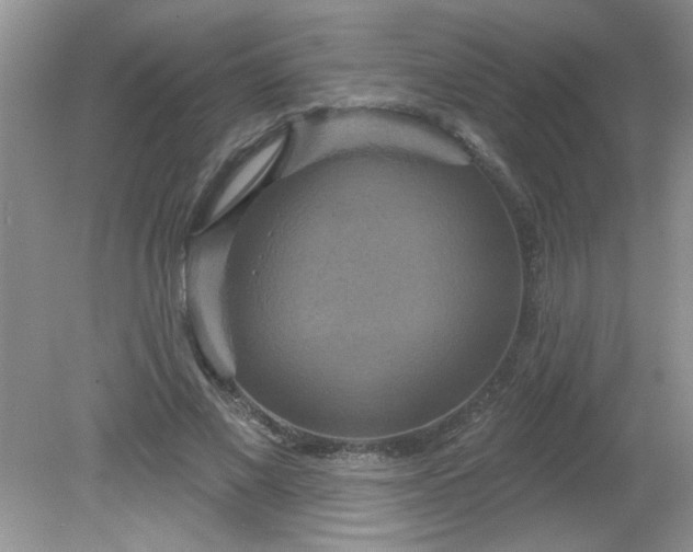 X0000081600685200701291402