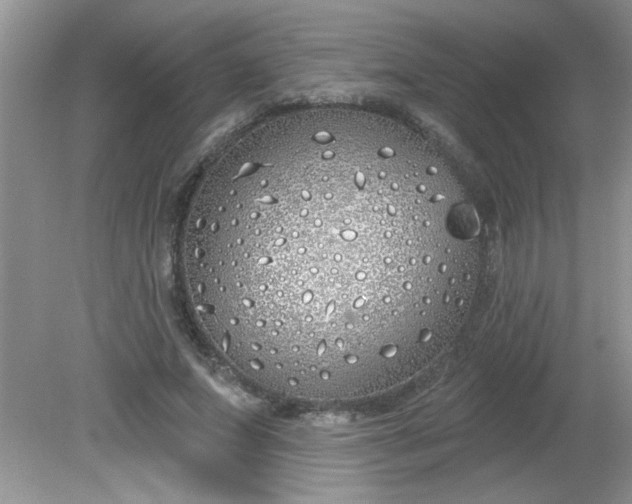 X0000081600687200701291402