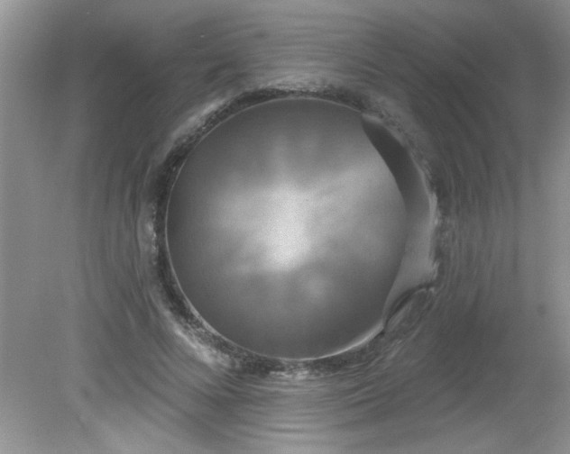 X0000081600688200701291402