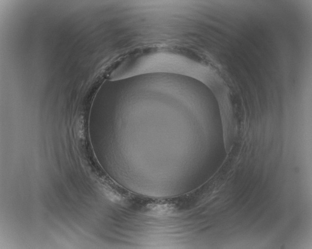 X0000081600689200701291402