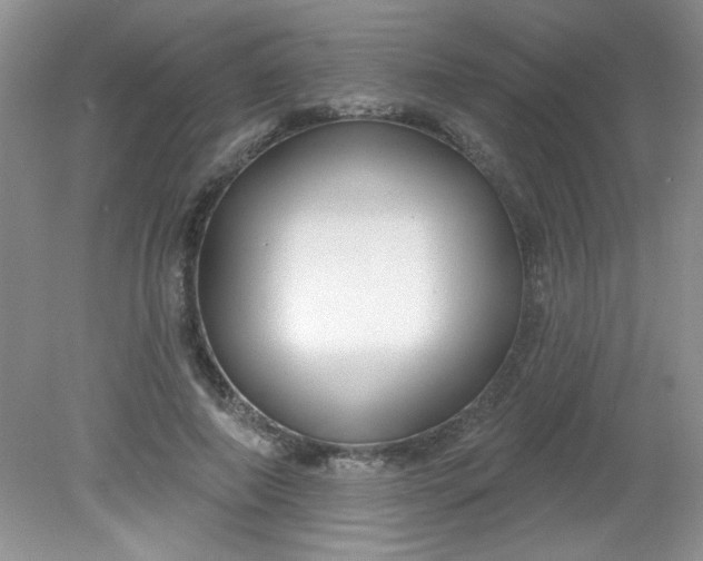 X0000081600690200701291402