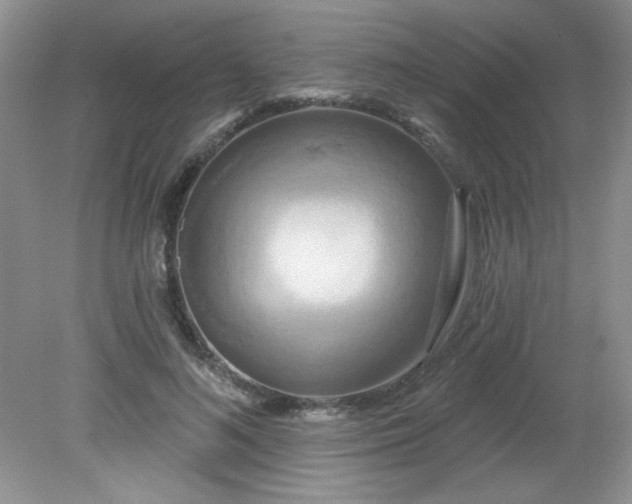 X0000081600692200701291402