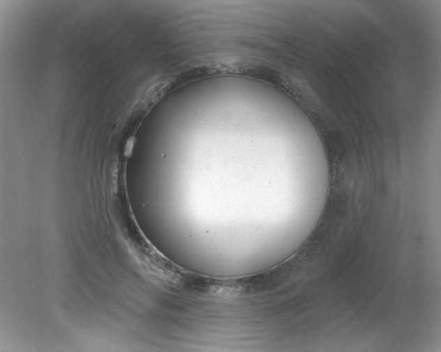 X0000081600694200701291402