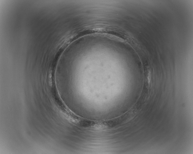 X0000081600696200701291401