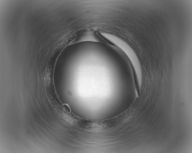 X0000081600697200701291401