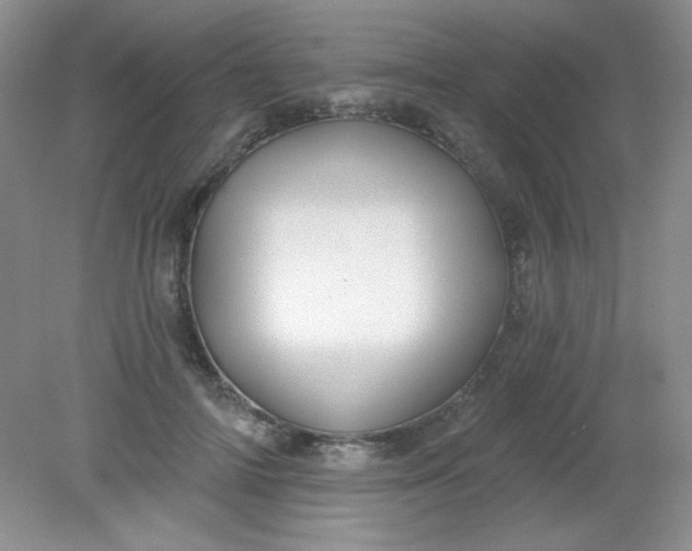 X0000081600698200701291401