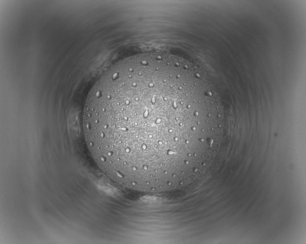 X0000081600699200701291401