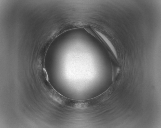 X0000081600700200701291401