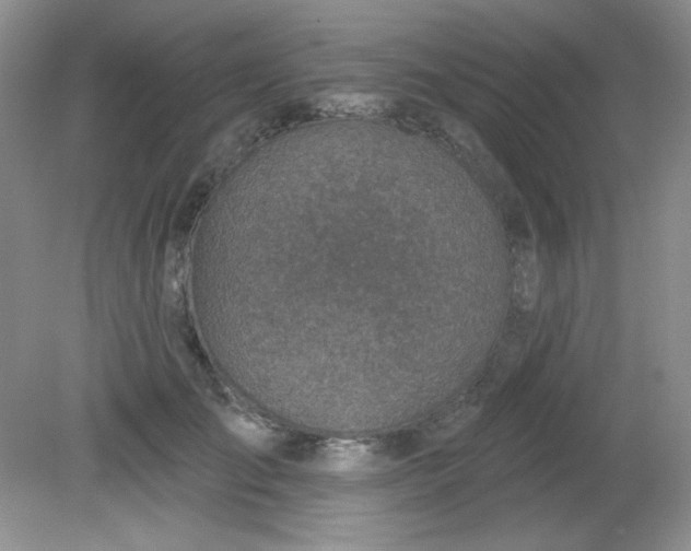 X0000081600701200701291401