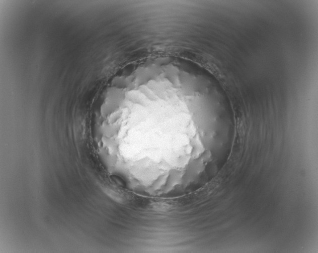 X0000081600703200701291401