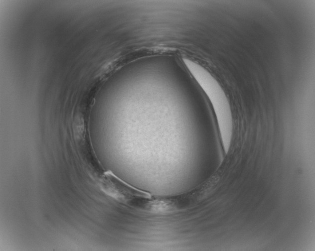 X0000081600704200701291401