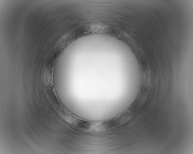 X0000081600705200701291401