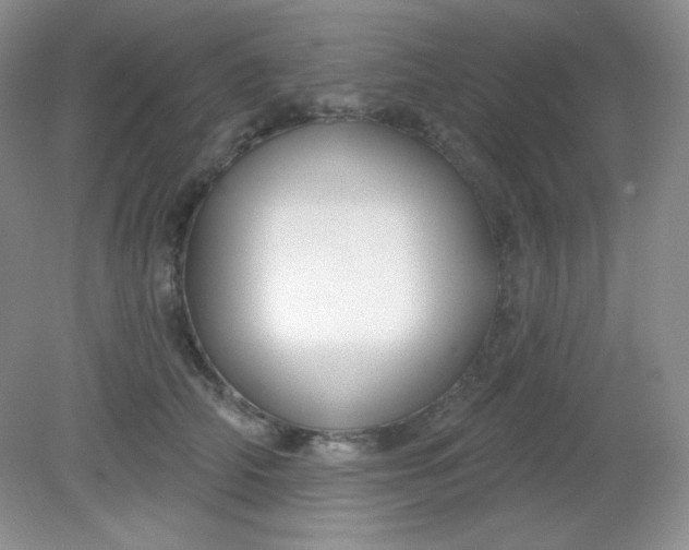 X0000081600706200701291401