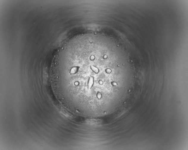 X0000081600707200701291401