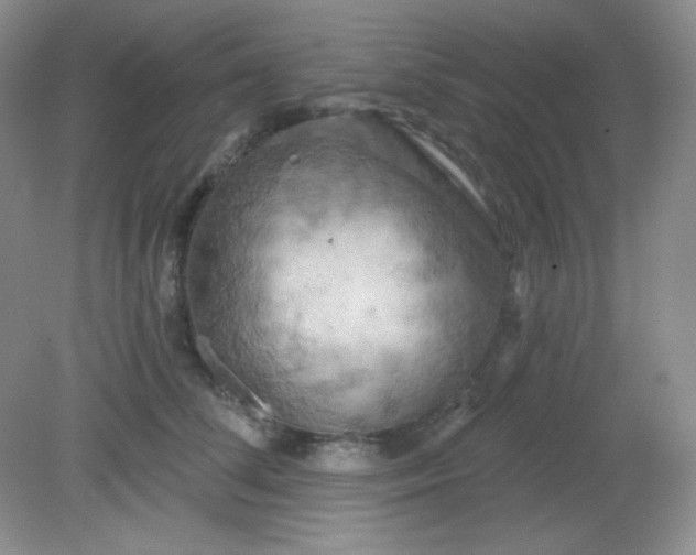 X0000081600708200701291401