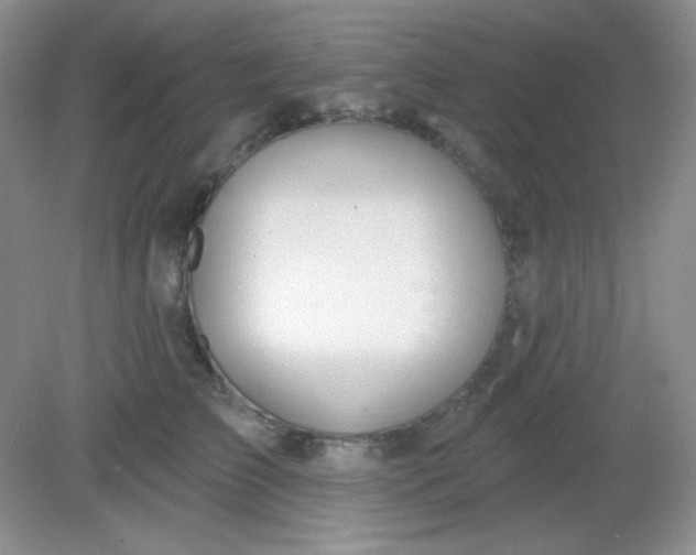 X0000081600709200701291401