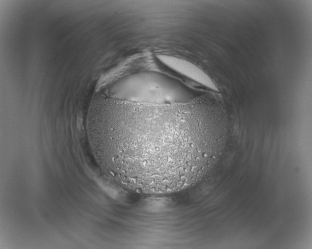 X0000081600711200701291401