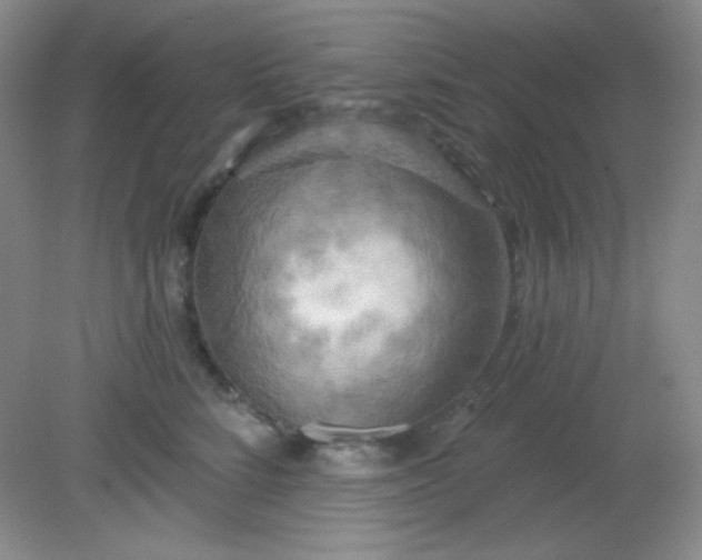 X0000081600712200701291401