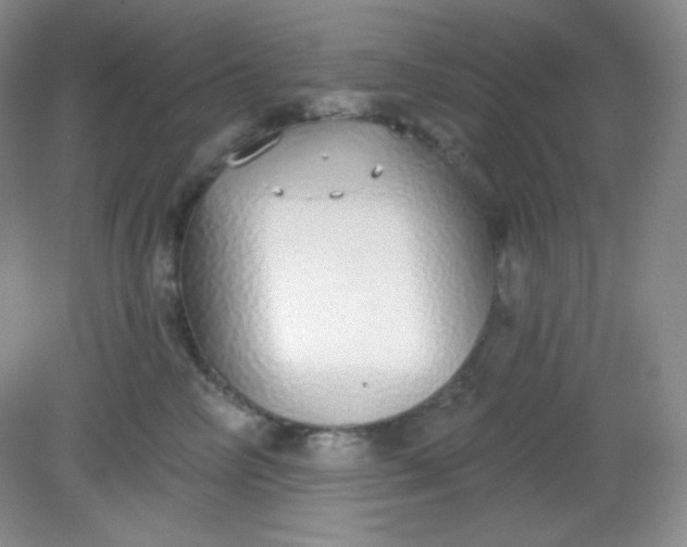 X0000081600714200701291401