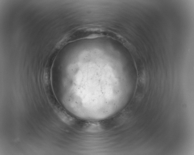 X0000081600715200701291401