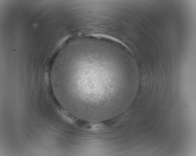 X0000081600716200701291401