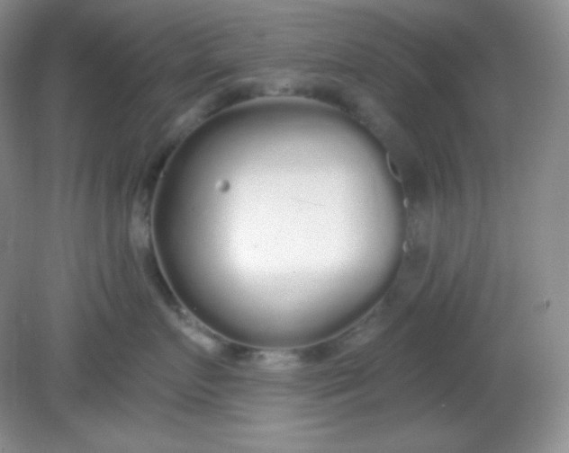 X0000081600719200701291401