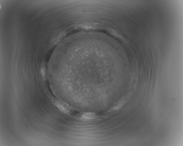 X0000081600720200701291401