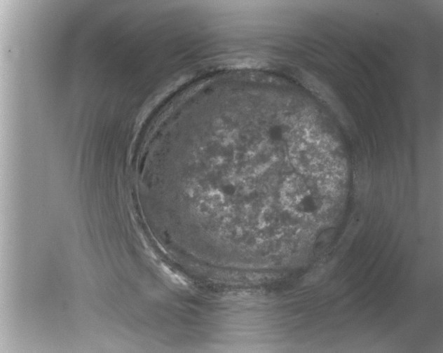 X0000081600721200701291400