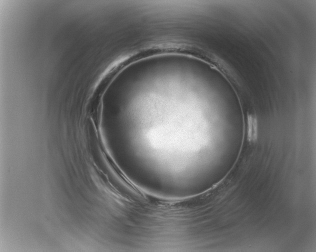 X0000081600723200701291400