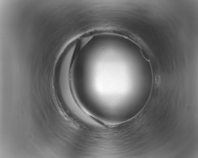 X0000081600724200701291400