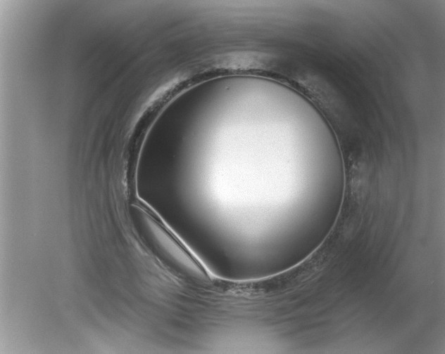 X0000081600727200701291400