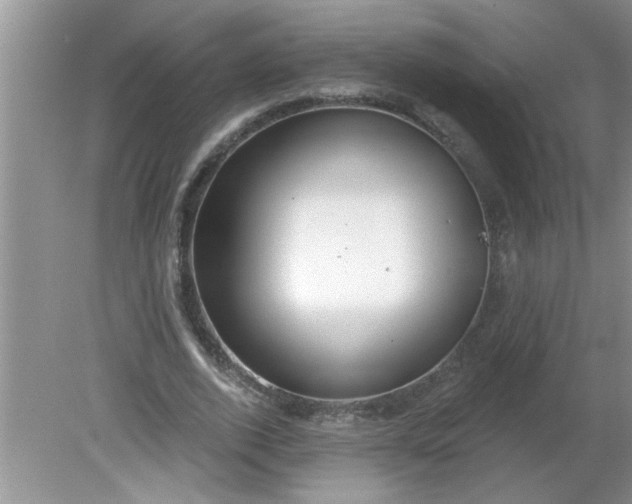 X0000081600728200701291400