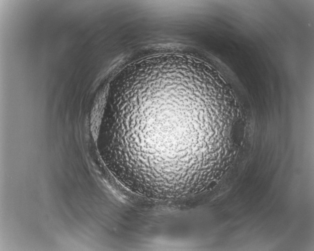 X0000081600729200701291400