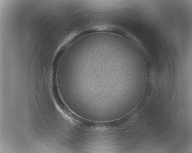 X0000081600730200701291400