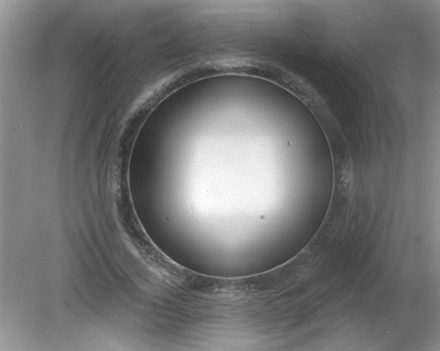 X0000081600732200701291400