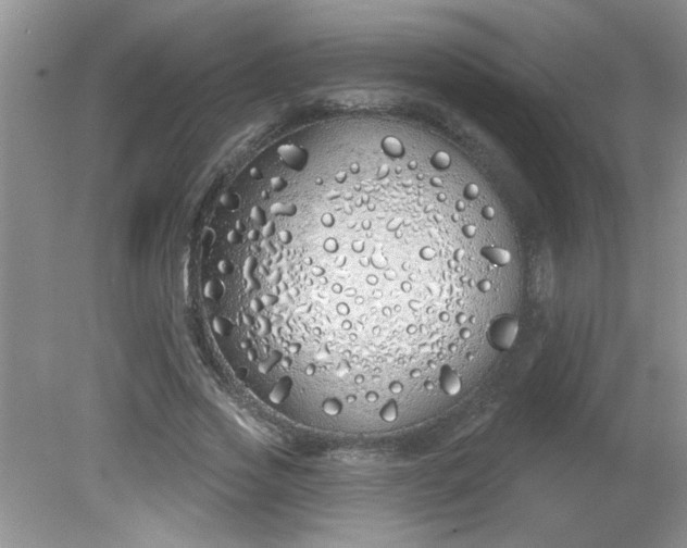 X0000081600733200701291400