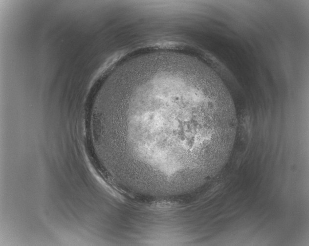 X0000081600734200701291400