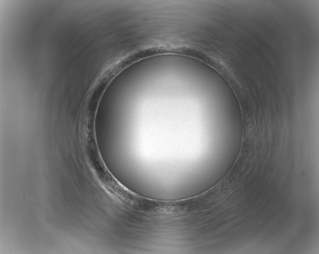 X0000081600736200701291401