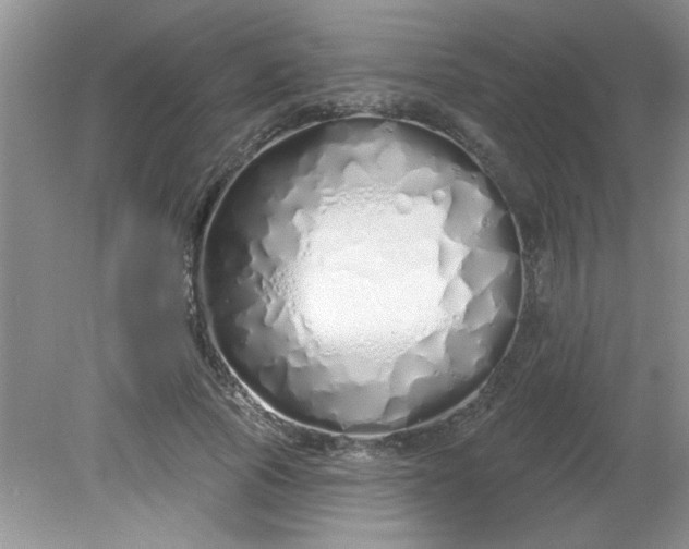 X0000081600737200701291401