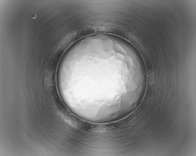 X0000081600738200701291401