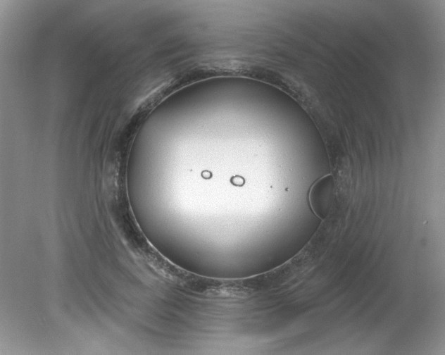 X0000081600739200701291401