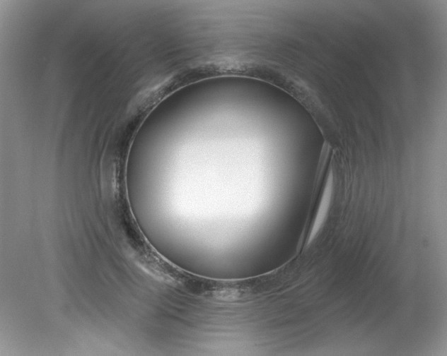 X0000081600740200701291401