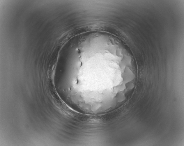 X0000081600741200701291401