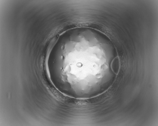 X0000081600742200701291401