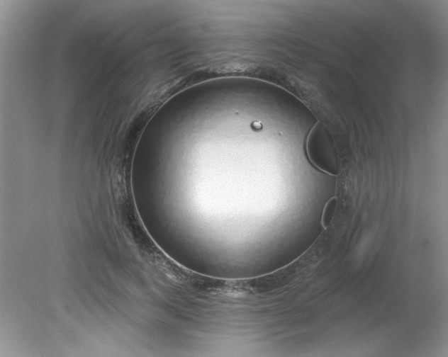 X0000081600743200701291401