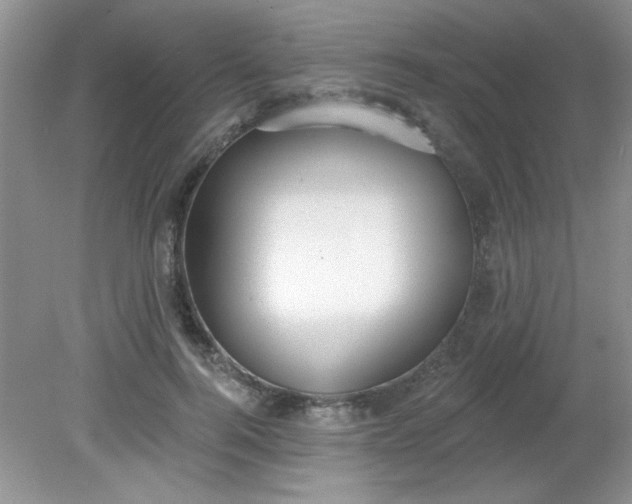 X0000081600744200701291401