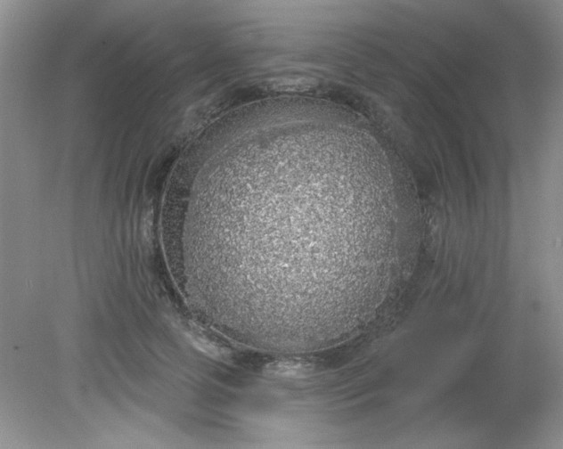 X0000081600745200701291401