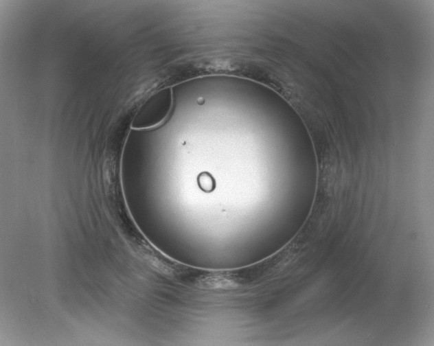 X0000081600747200701291401