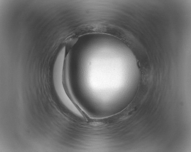 X0000081600748200701291401